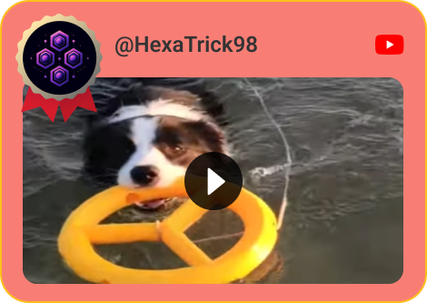 @HexaTrick98